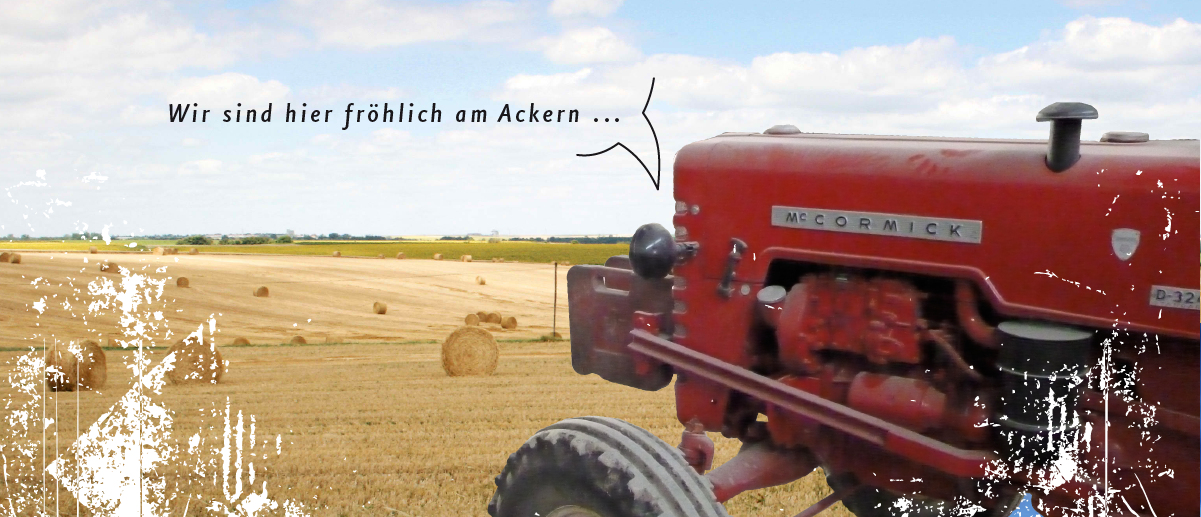 Frische Eier aus der Region